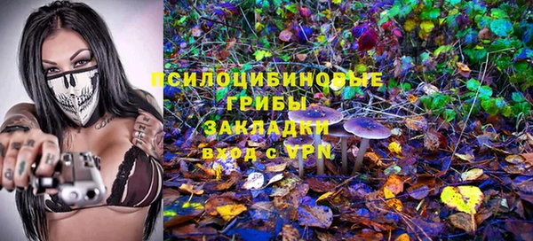 ECSTASY Протвино