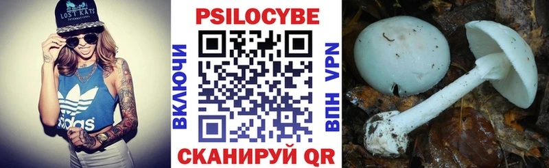 продажа наркотиков  Звенигово  это Telegram  Псилоцибиновые грибы ЛСД 